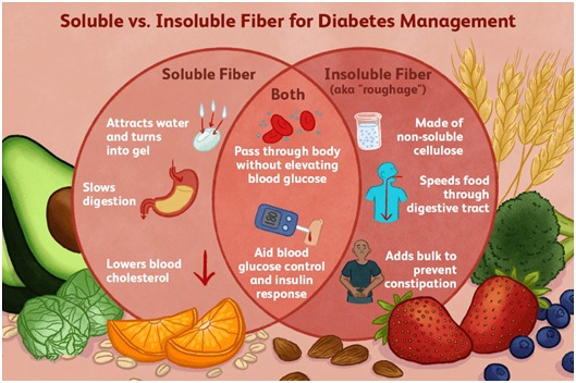 Dietary Fibre and its Health Benefits